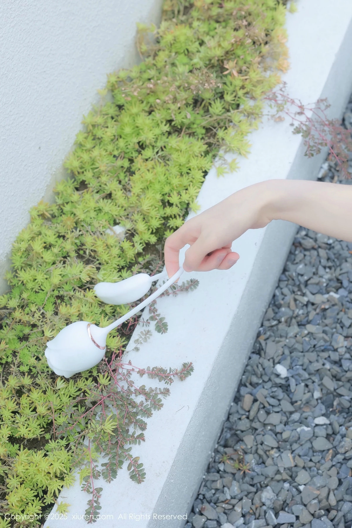 Xrmnw.Vip_桃妖夭_合集 Xrmnw.Vip_桃妖夭_写真